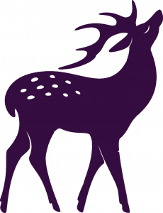 Hirsch Geschnetzeltes à la minute