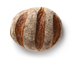 Pane Maggia
