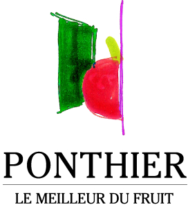 Himbeer Pulp BIO 1x5kg