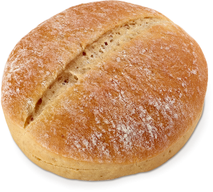 Ciabatta Bun