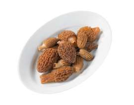 Morcheln 3-7 cm - morilles