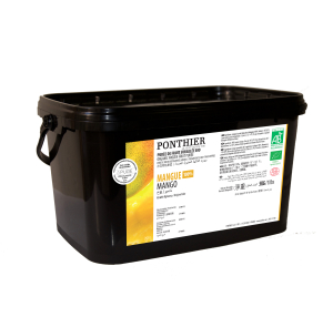 Mango Pulp BIO 1x5kg