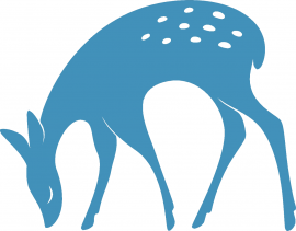 Reh Geschnetzeltes à la minute