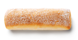 Panini
